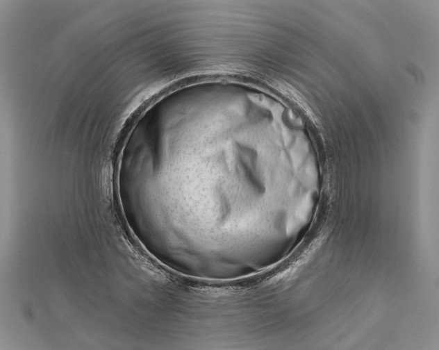 X0000112460781200908311328