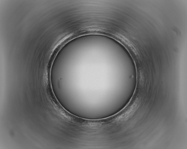 X0000112460782200908311328