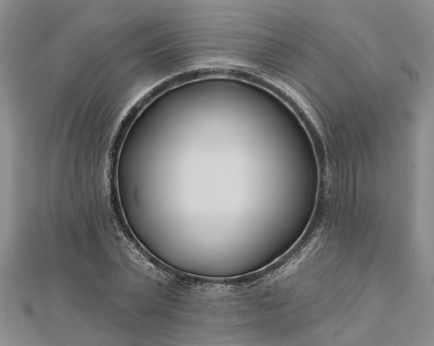 X0000112460783200908311328