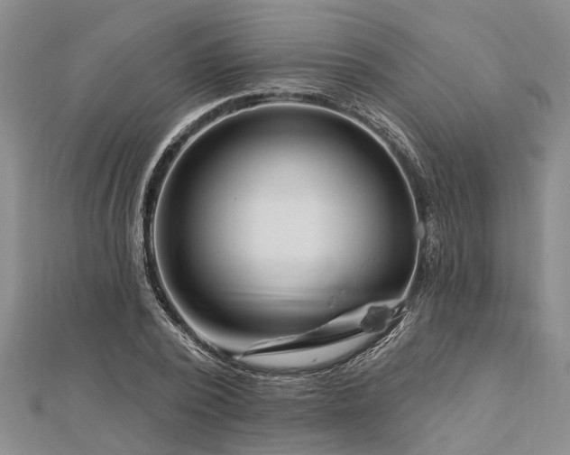 X0000112460784200908311328