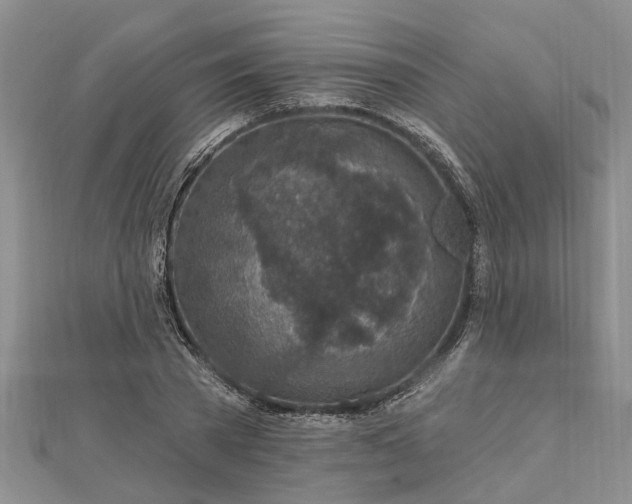 X0000112460785200908311328