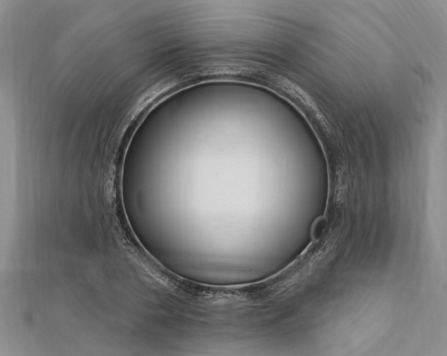 X0000112460786200908311328