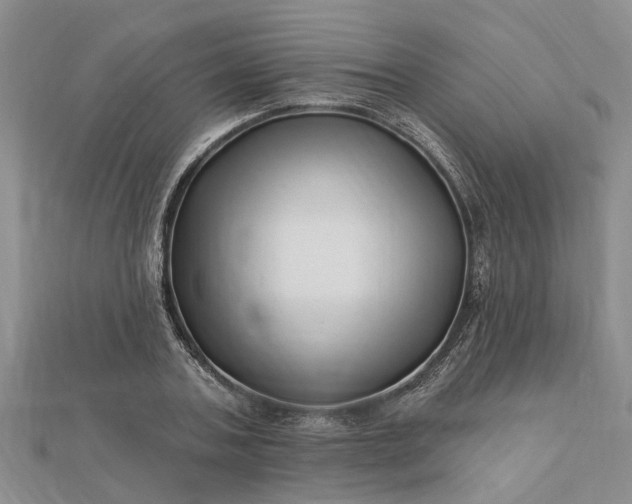 X0000112460787200908311328