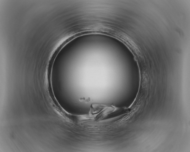 X0000112460788200908311328