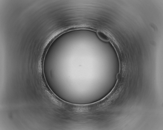 X0000112460789200908311328