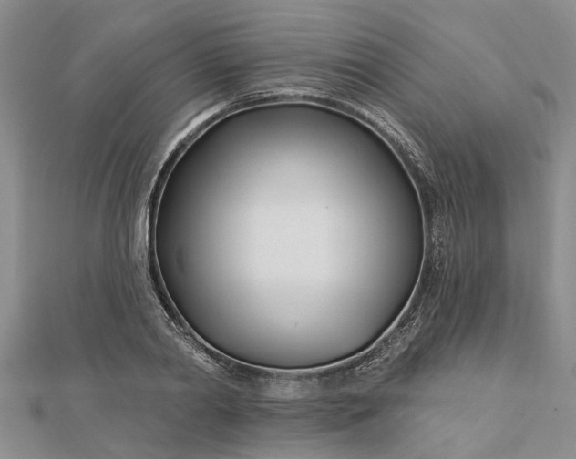 X0000112460790200908311328