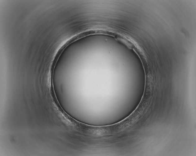 X0000112460791200908311328