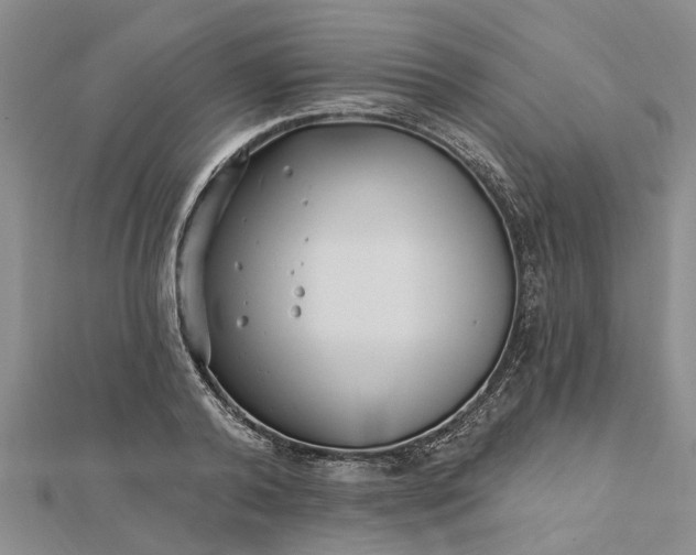 X0000112460792200908311328