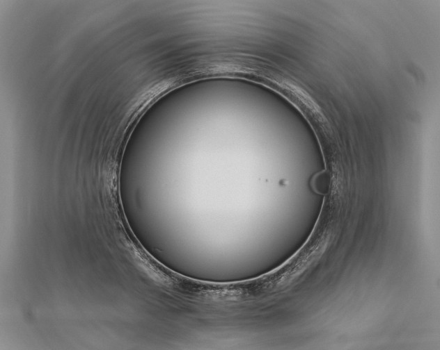 X0000112460793200908311328