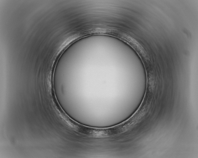 X0000112460794200908311328