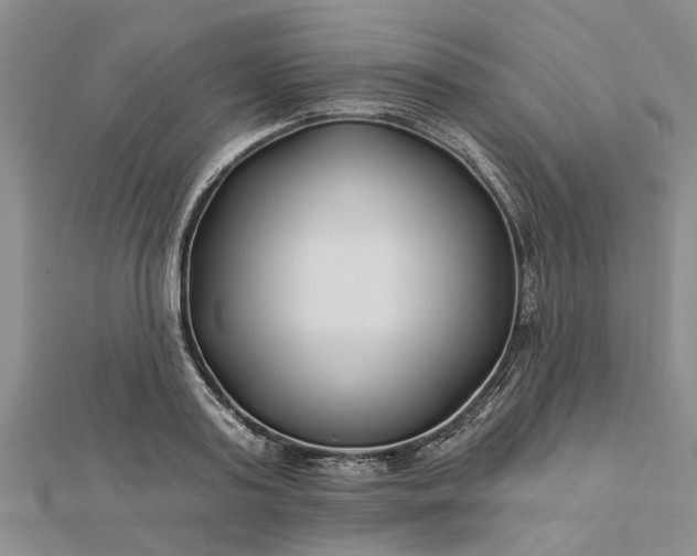 X0000112460795200908311328