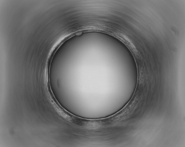 X0000112460796200908311328