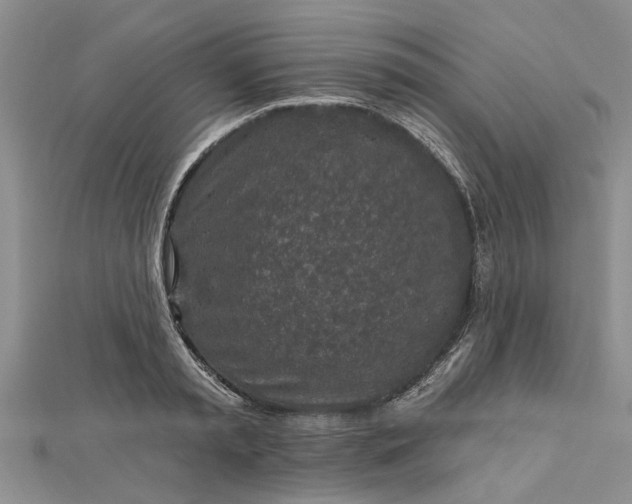 X0000112460797200908311328