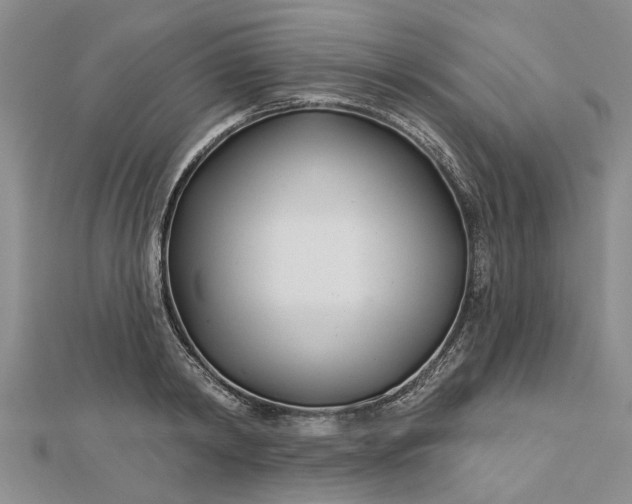 X0000112460798200908311328