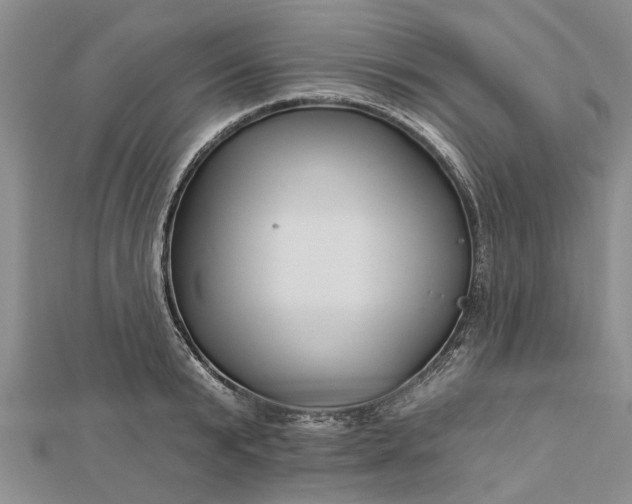 X0000112460799200908311328