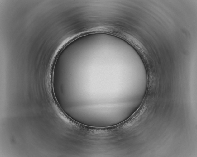 X0000112460800200908311328