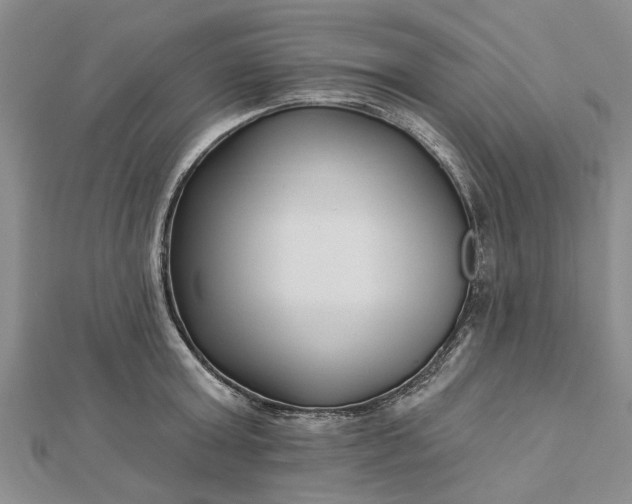 X0000112460803200908311328