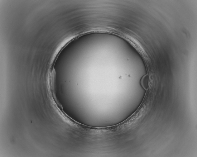 X0000112460804200908311328