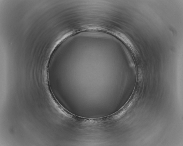 X0000112460806200908311328