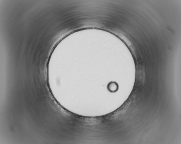 X0000112460807200908311328