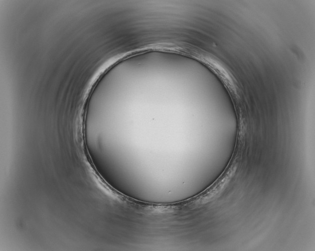 X0000112460808200908311328