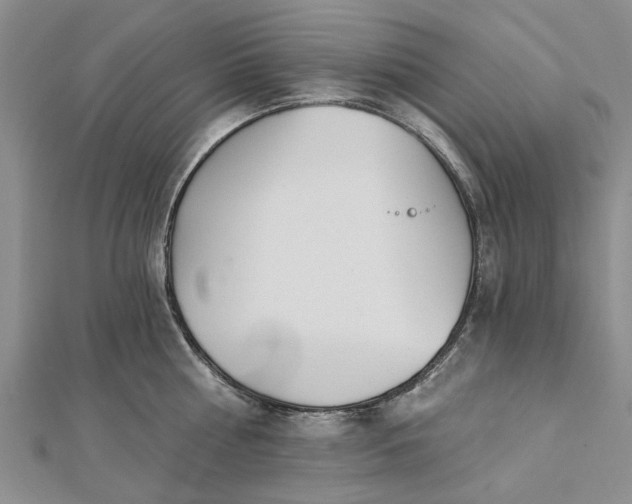 X0000112460810200908311328