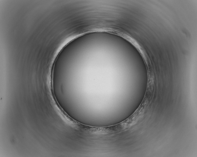 X0000112460811200908311328