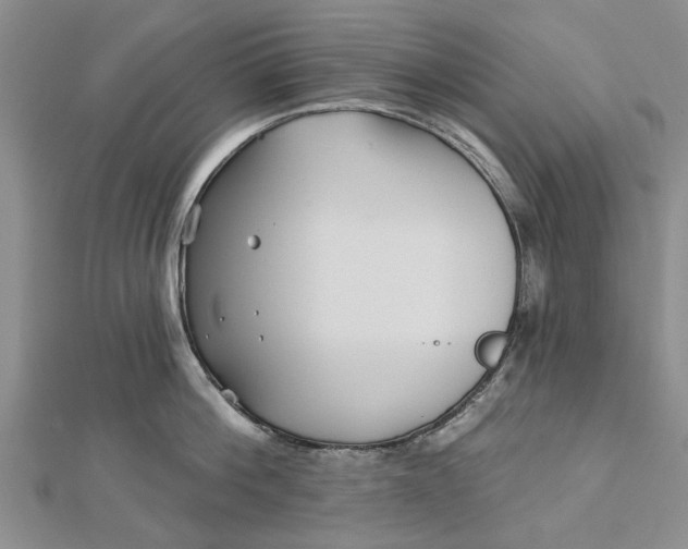 X0000112460812200908311328