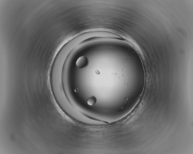 X0000112460813200908311328