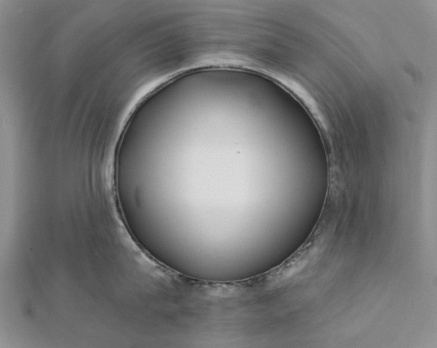 X0000112460815200908311328