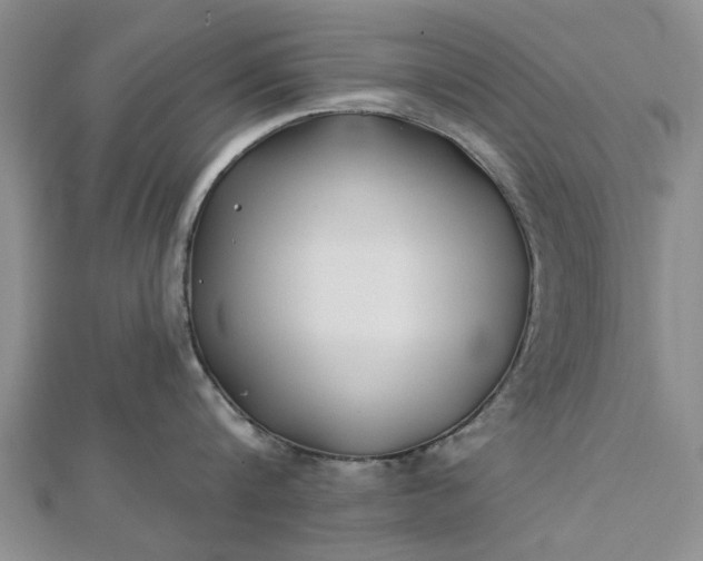 X0000112460816200908311328