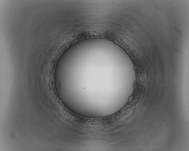 X0000112460817200908311327