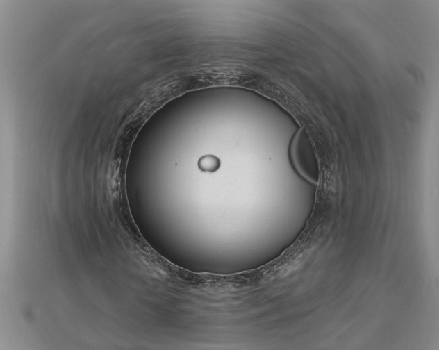 X0000112460818200908311327