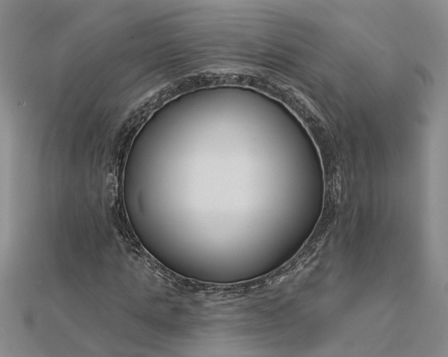 X0000112460821200908311327