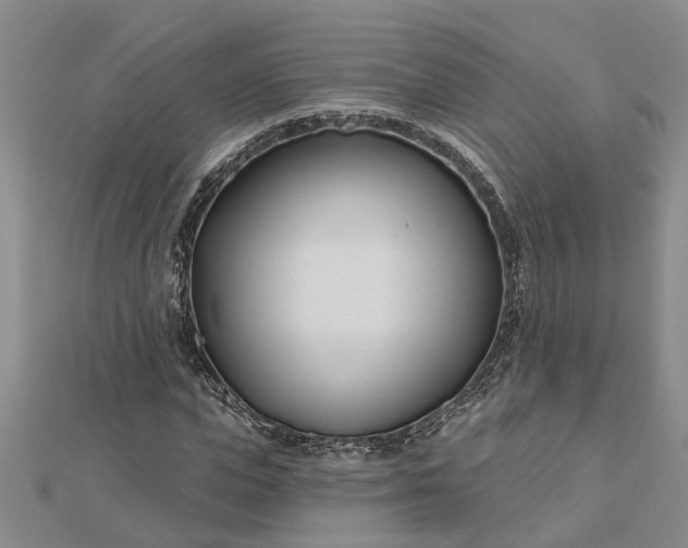 X0000112460823200908311327