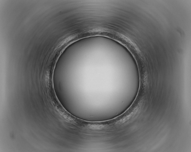 X0000112460825200908311327