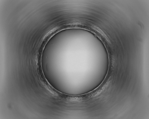 X0000112460826200908311327