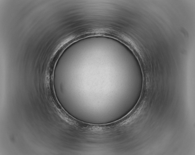 X0000112460827200908311327