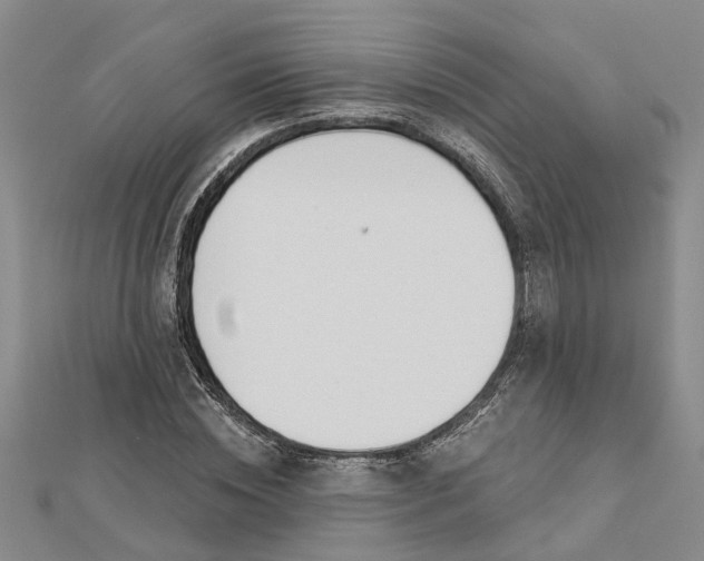 X0000112460828200908311327