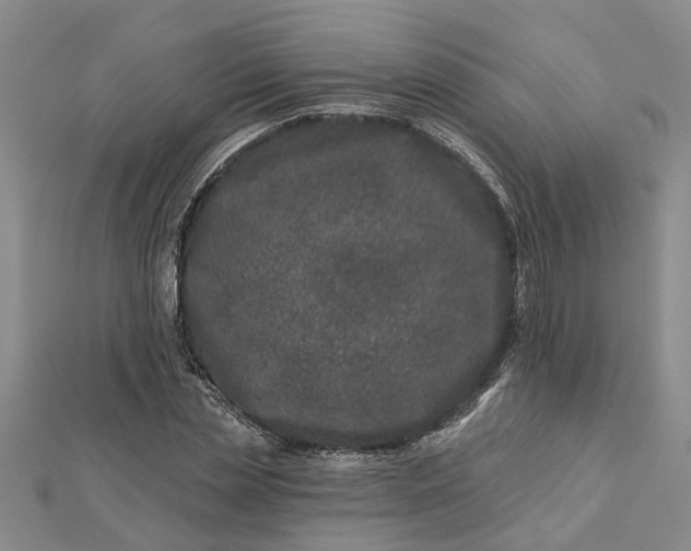 X0000112460829200908311327