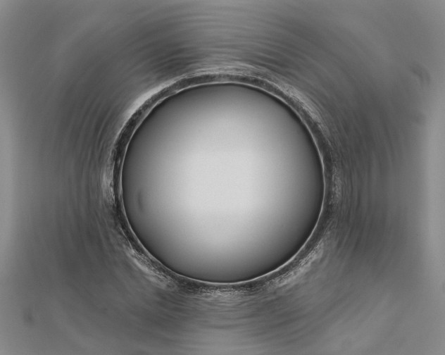 X0000112460830200908311327