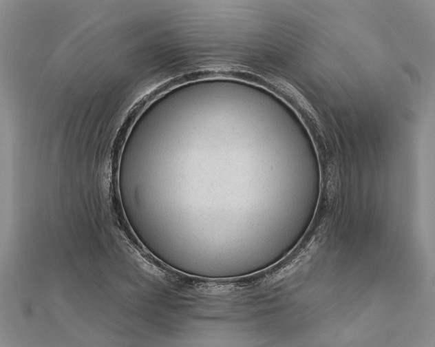 X0000112460831200908311327