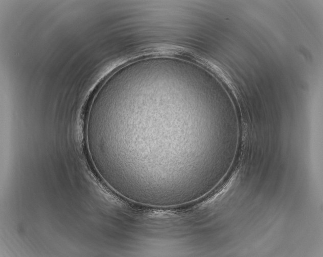 X0000112460835200908311327