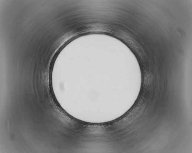 X0000112460836200908311327