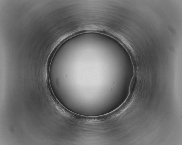 X0000112460837200908311327