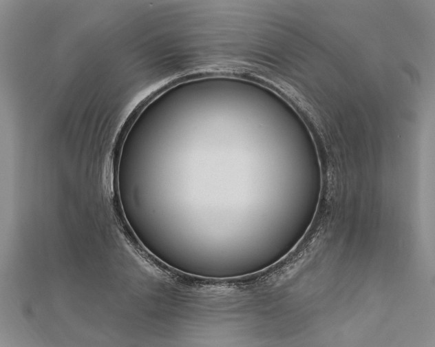 X0000112460838200908311327