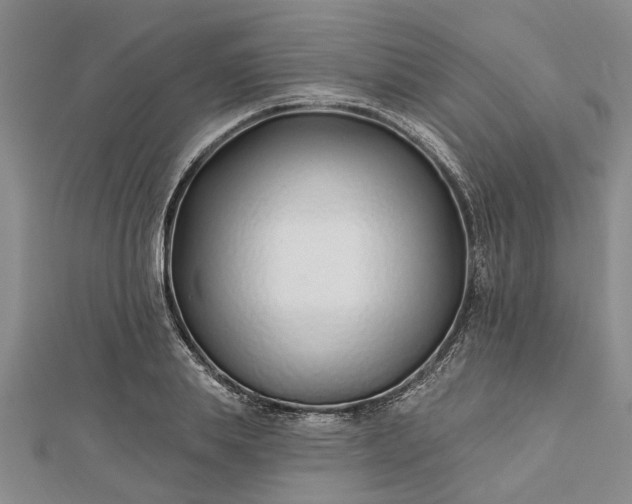 X0000112460839200908311328