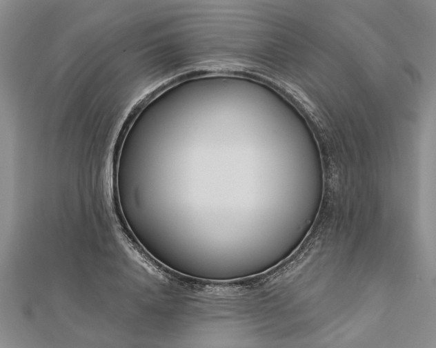 X0000112460840200908311328