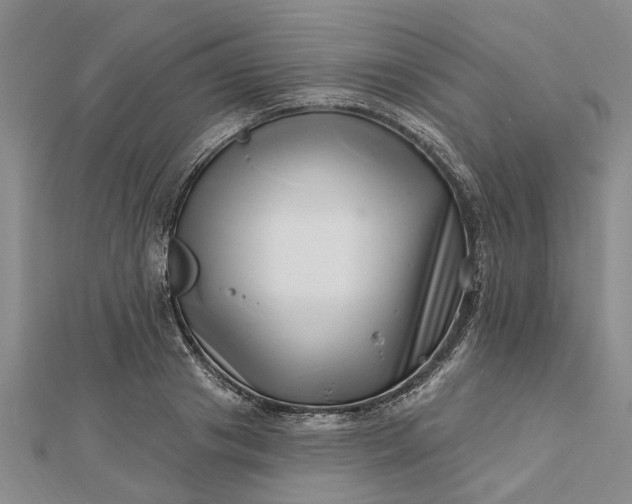 X0000112460841200908311328