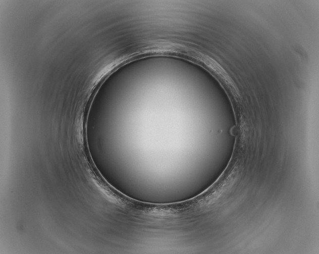 X0000112460842200908311328